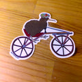Kiwi Bicycle